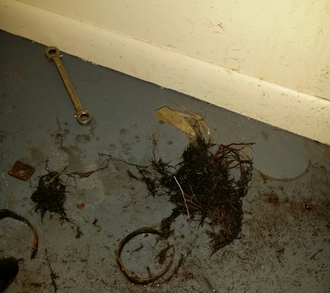 Discount Drain Cleaning Service - Niles, OH. This caused that mess :'(.