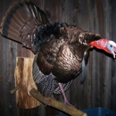 Kurtz Taxidermy - Plumbing-Drain & Sewer Cleaning
