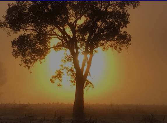 JLS Accounting Services - Goulburn, NSW