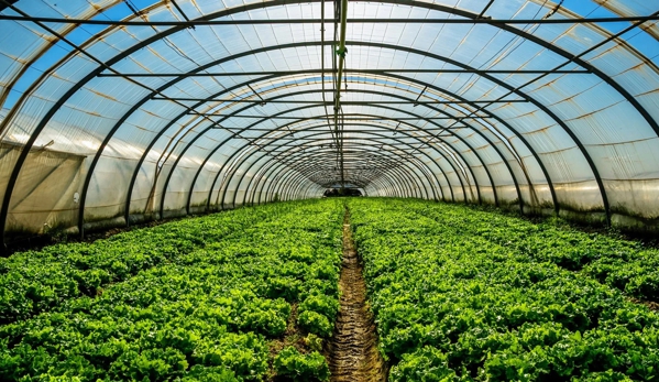 T&W Greenhouse Supplies PTY LTD - Kemps Creek, NSW