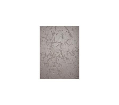 Texture Coating Qld Pty Ltd - Corinda, QLD