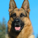 Patriot K-9 Services Inc. - Security Equipment & Systems Consultants