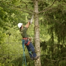 Greentrees - Arborists