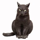 Black Cat Costumes - Costumes