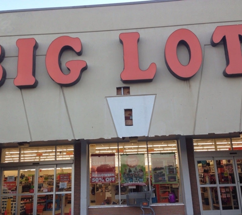 Big Lots - Charleston, SC