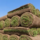 Cal Lawn Sod - Sod & Sodding Service