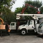 Arborcare Inc