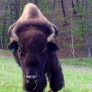 Lone Elk Park - Parks