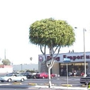 Walgreens - Pharmacies