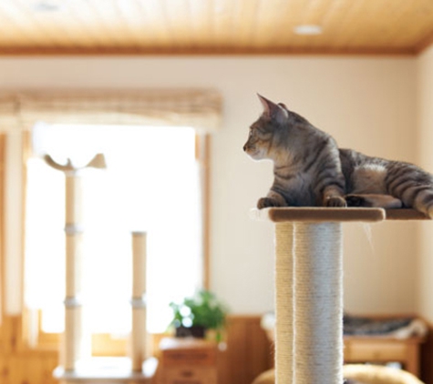 Melton Veterinary Clinic - Melton, VIC