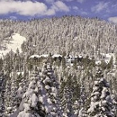 The Ritz-Carlton