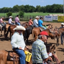 Better Equine - Livestock Feeding