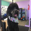 Vicki's Grooming - Pet Grooming