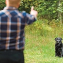 AAA Dog Training & Dog Kennel, Inc. - Pet Training