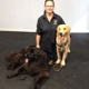 Reward That Puppy Inc. Dog Training