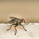Green Pest Management - Pest Control Equipment & Supplies
