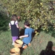 SLO Creek Farms