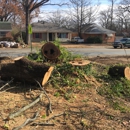 Brothers Tree Service - Tree Service