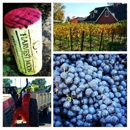 Harvest Moon Estate & Winery - Wineries