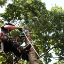 G & J Tree Experts - Tree Service