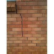 Gallery Image Number 4