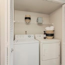 Clemmons Station Apartment Homes - Apartments