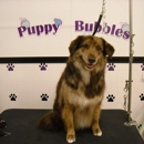 Puppy Bubbles