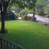 E-Z Tree Service - South Jersey gallery