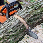C & B Tree Service