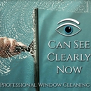 Eye Can See Clearly Now - Window Cleaning