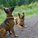 My EPIC Dog - Human and Dog Training - Dog Training