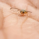 D W Pest Control Inc - Pest Control Equipment & Supplies