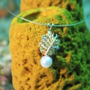 David Kay Jewelers - Jewelers