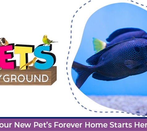 Pets Playground - Cleveland, QLD. Your New Pet’s Forever Home Starts Here