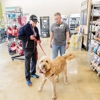 Pet Supplies Plus gallery