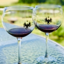 King's Raven Winery - Wineries