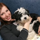 Wheaton Animal Hospital - Veterinary Clinics & Hospitals