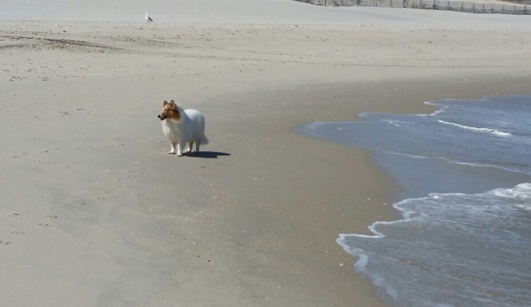 At The Beach - Beach Haven, NJ