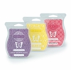 Scentsy Independent Consultant Jodi Palermo-Orland gallery