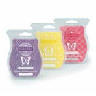 Scentsy Independent Consultant Jodi Palermo-Orland