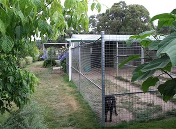Gisborne Boarding Kennels & Cattery - Bullengarook, VIC