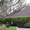 Raintree Roofing Inc gallery