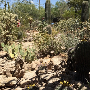 Tucson Botanical Gardens - Tucson, AZ. Desert landscape