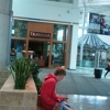 Teavana gallery