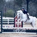 East Cobb Stables - Stables