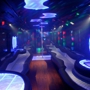 Las Vegas NV Party Bus Rentals