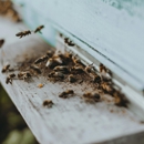 J & A's Lawn Care - Pest Control Equipment & Supplies