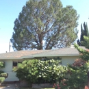 Pine Tree Service inc - Tree Service