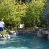 Pristine Pool Service & Repair, Inc. gallery