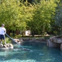 Pristine Pool Service & Repair, Inc.